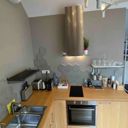 Uptown Monkey 7 Min Walk To Republicii Street * Brasov
