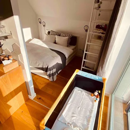 Uptown Monkey 7 Min Walk To Republicii Street Apartment Brasov